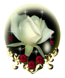 un fleur